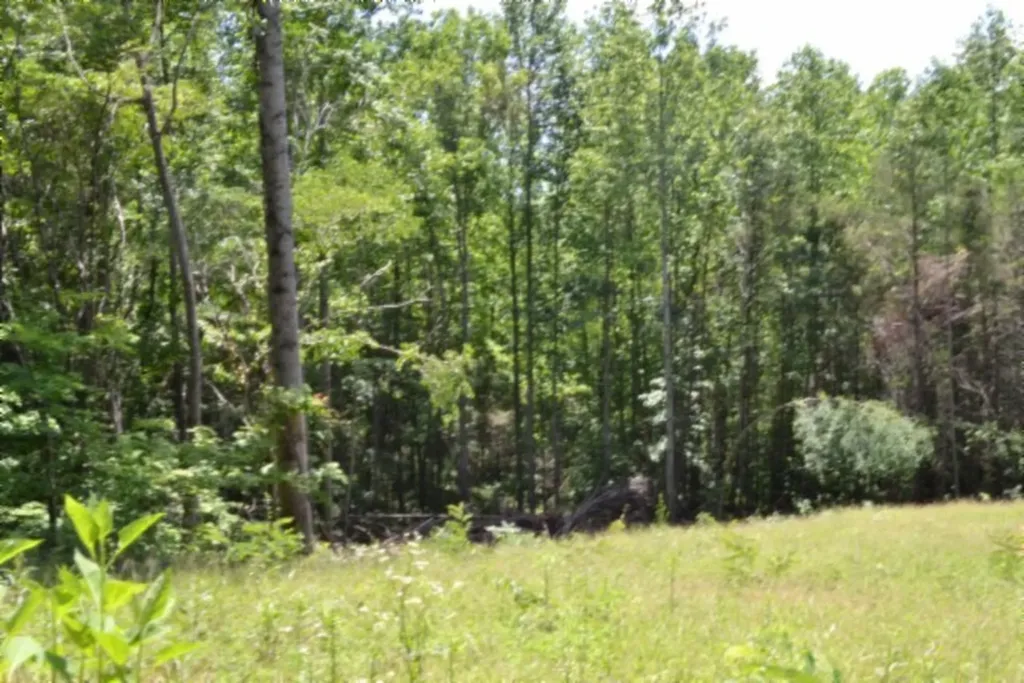 2390 Pea Ridge Fire Tower Road Celina TN 38551