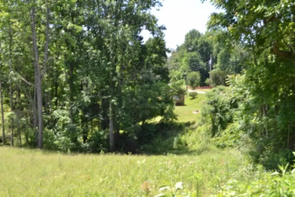2390 Pea Ridge Fire Tower Road Celina TN 38551