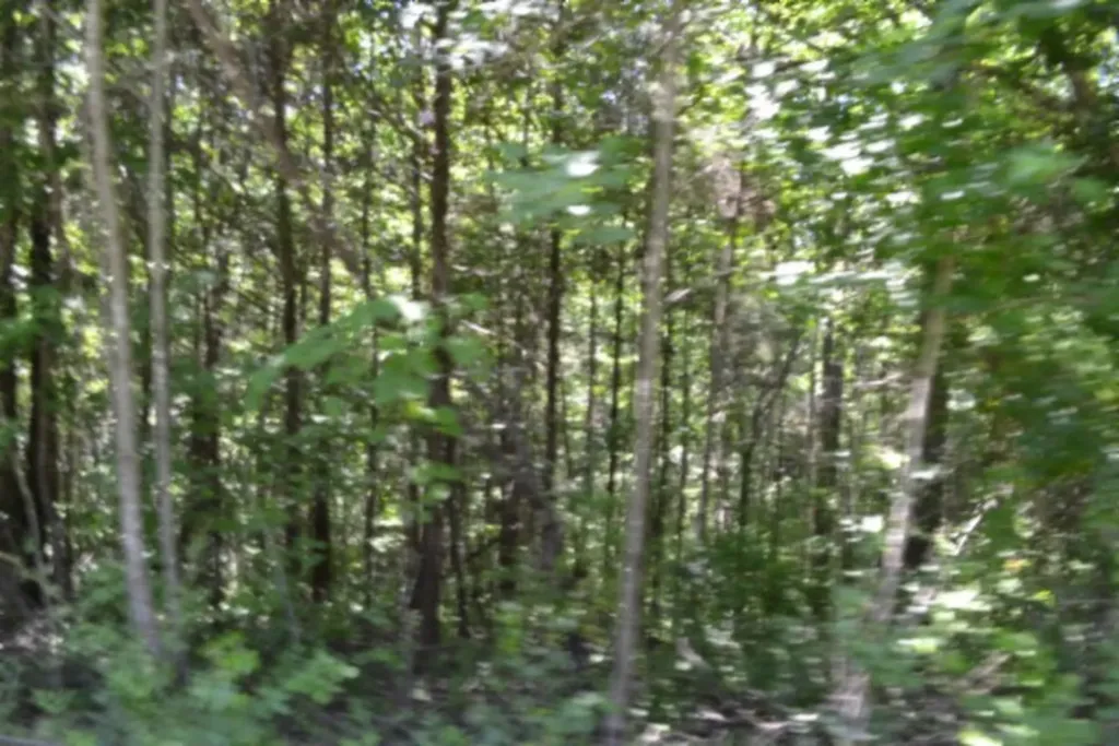 2390 Pea Ridge Fire Tower Road Celina TN 38551