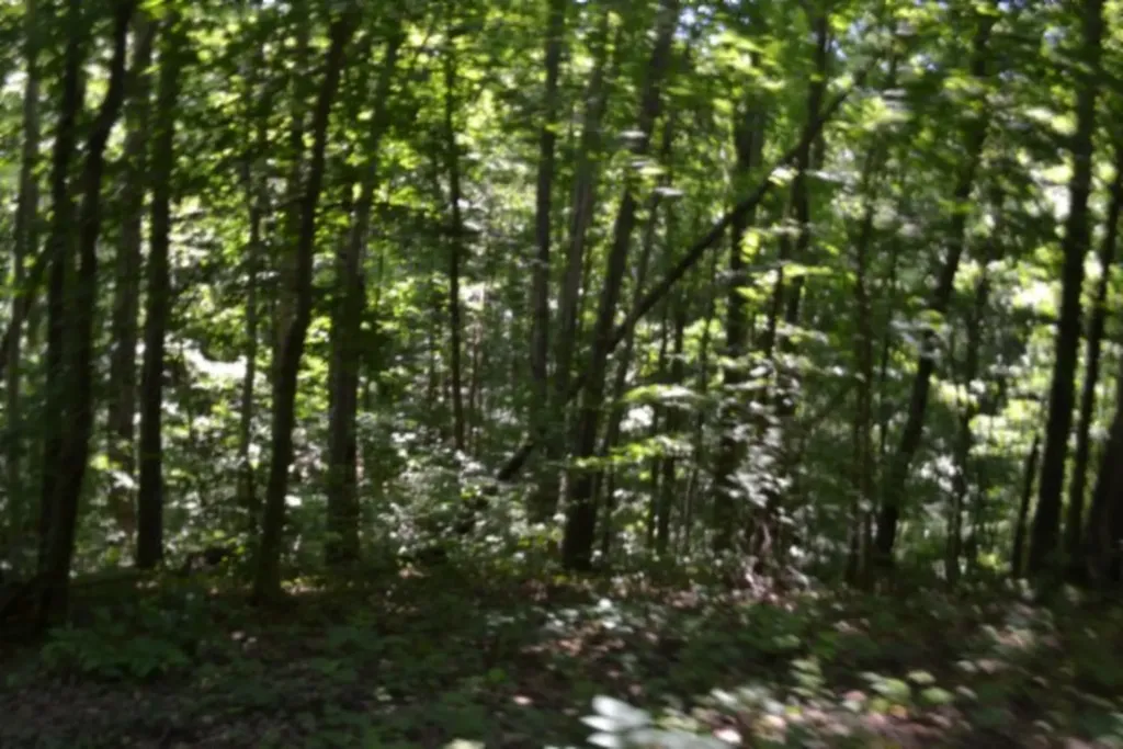2390 Pea Ridge Fire Tower Road Celina TN 38551