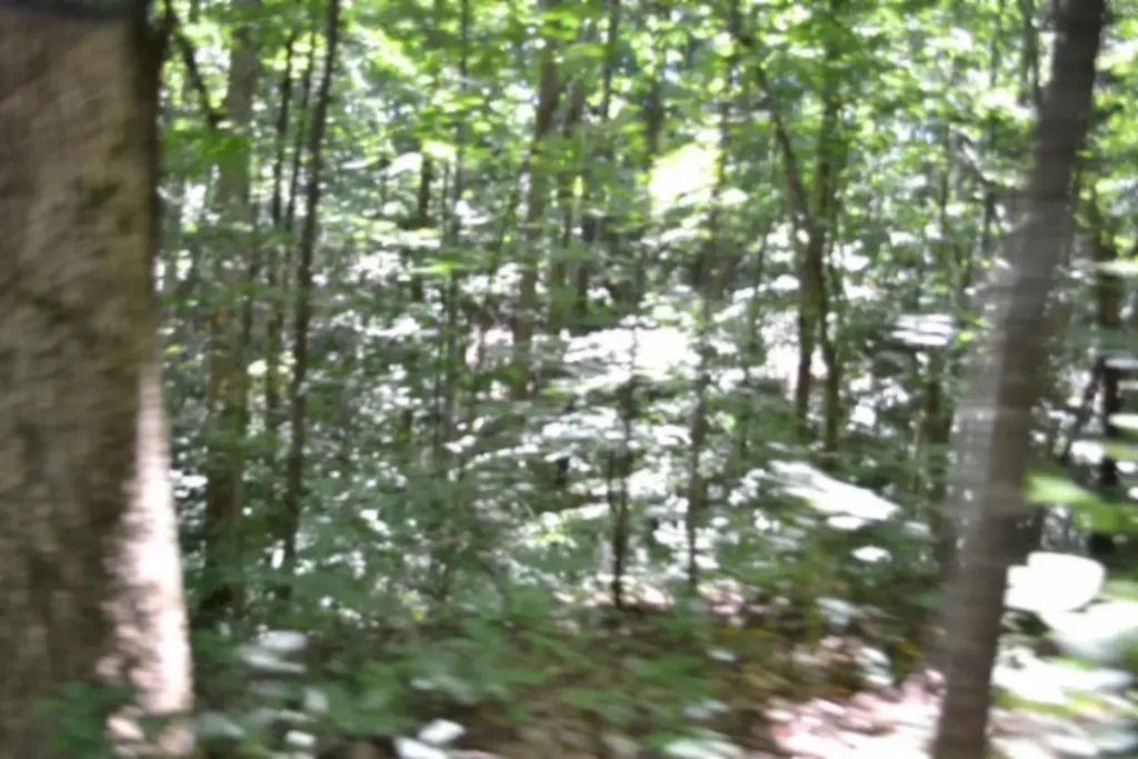 2390 Pea Ridge Fire Tower Road Celina TN 38551