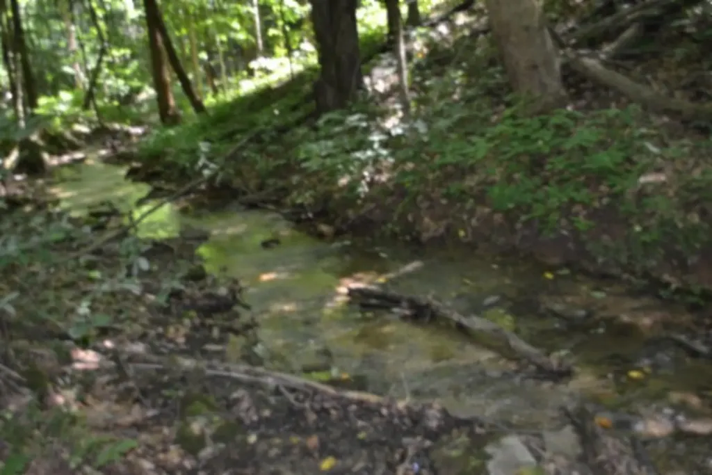 2390 Pea Ridge Fire Tower Road Celina TN 38551