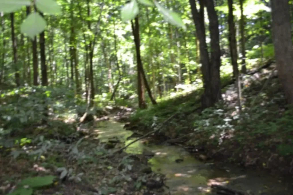 2390 Pea Ridge Fire Tower Road Celina TN 38551