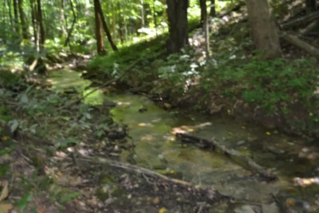 2390 Pea Ridge Fire Tower Road Celina TN 38551