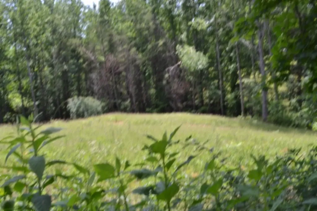 2390 Pea Ridge Fire Tower Road Celina TN 38551