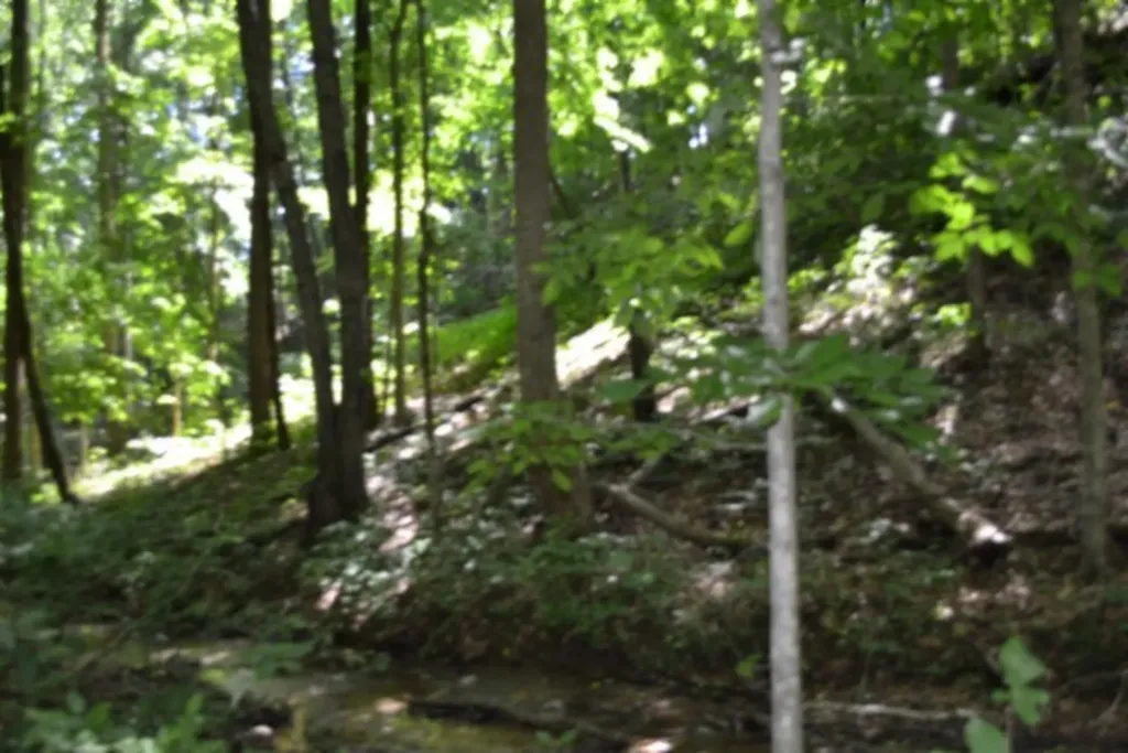 2390 Pea Ridge Fire Tower Road Celina TN 38551