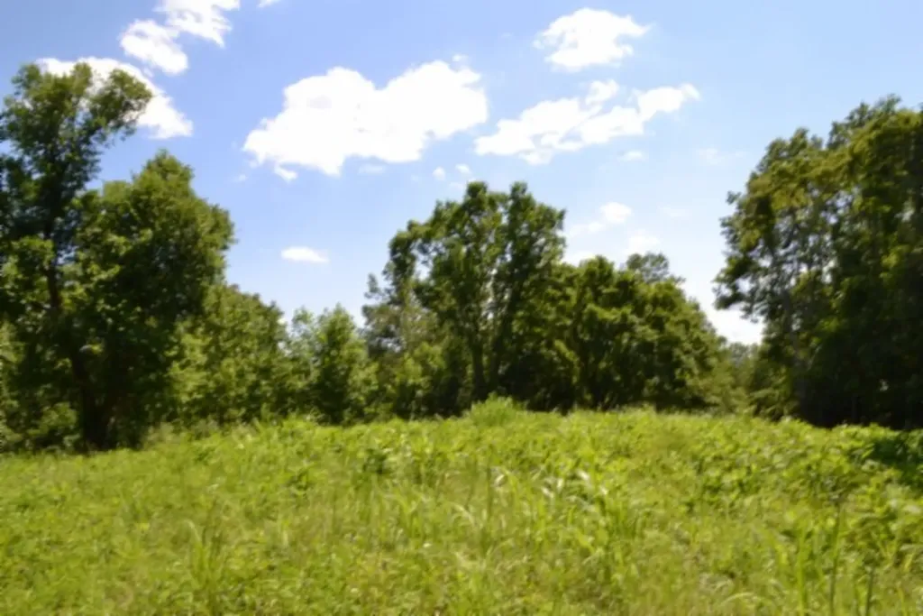2390 Pea Ridge Fire Tower Road Celina TN 38551