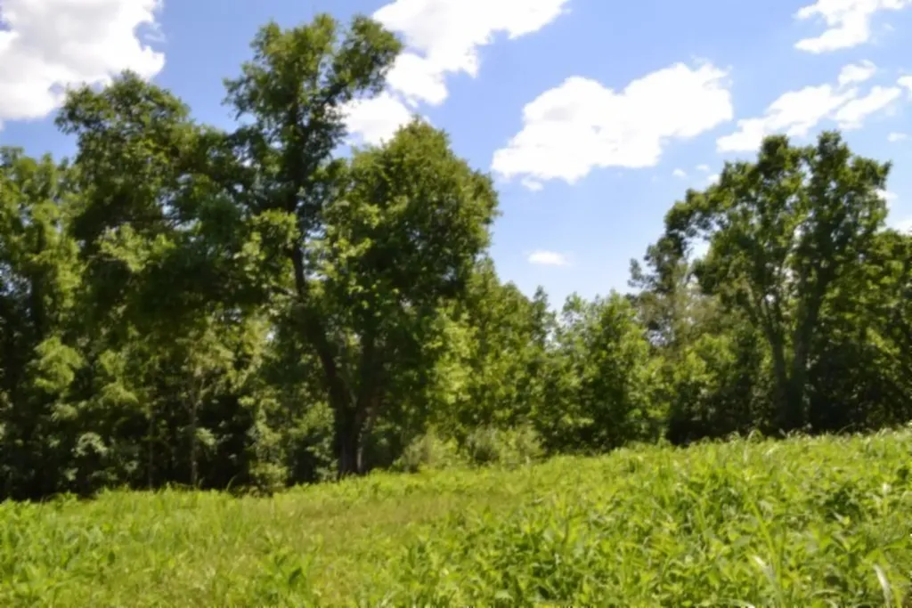 2390 Pea Ridge Fire Tower Road Celina TN 38551