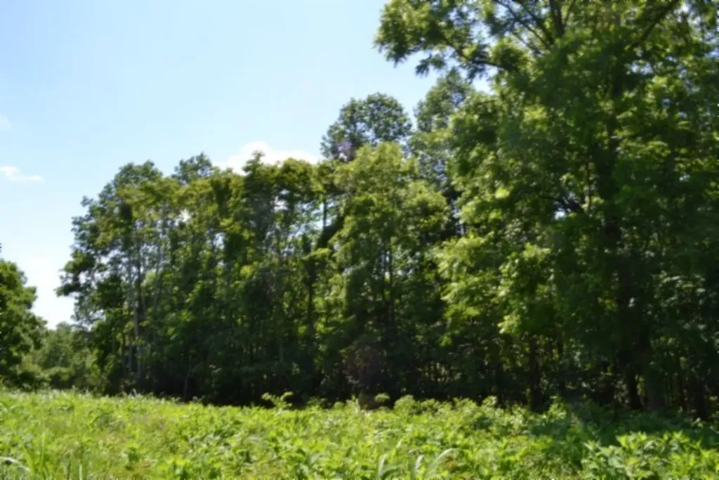 2390 Pea Ridge Fire Tower Road Celina TN 38551