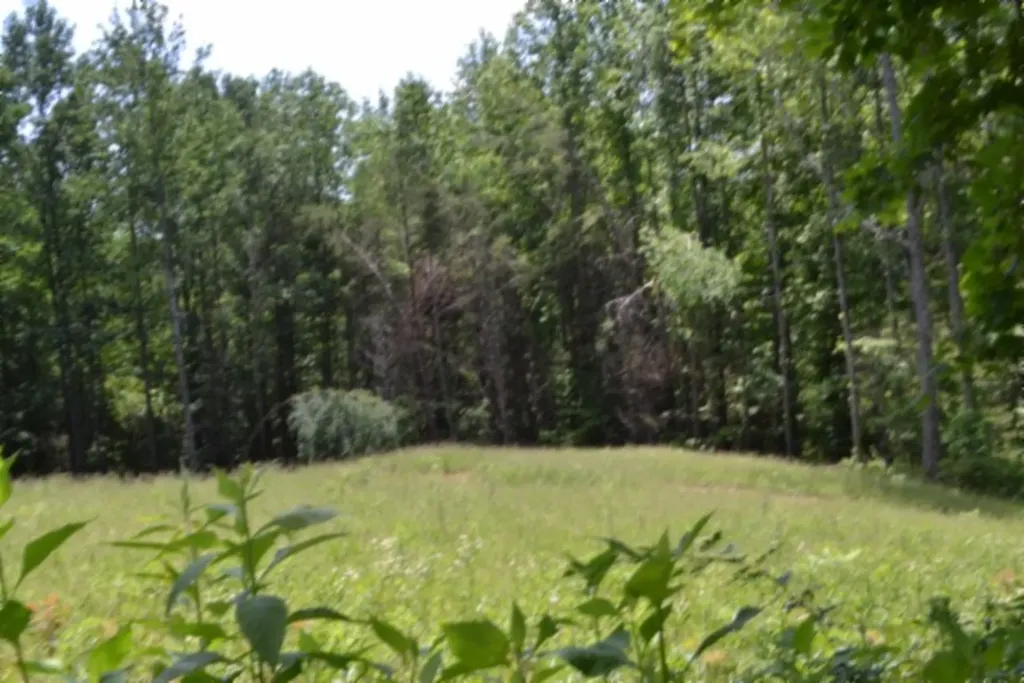 2390 Pea Ridge Fire Tower Road Celina TN 38551