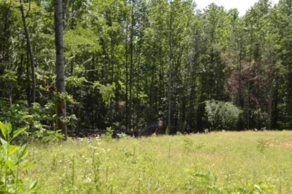 2390 Pea Ridge Fire Tower Road Celina TN 38551