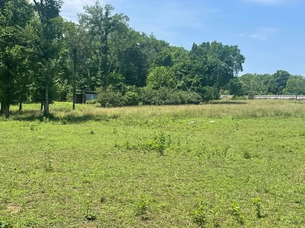 713 Lewis Avenue Shelbyville TN 37160