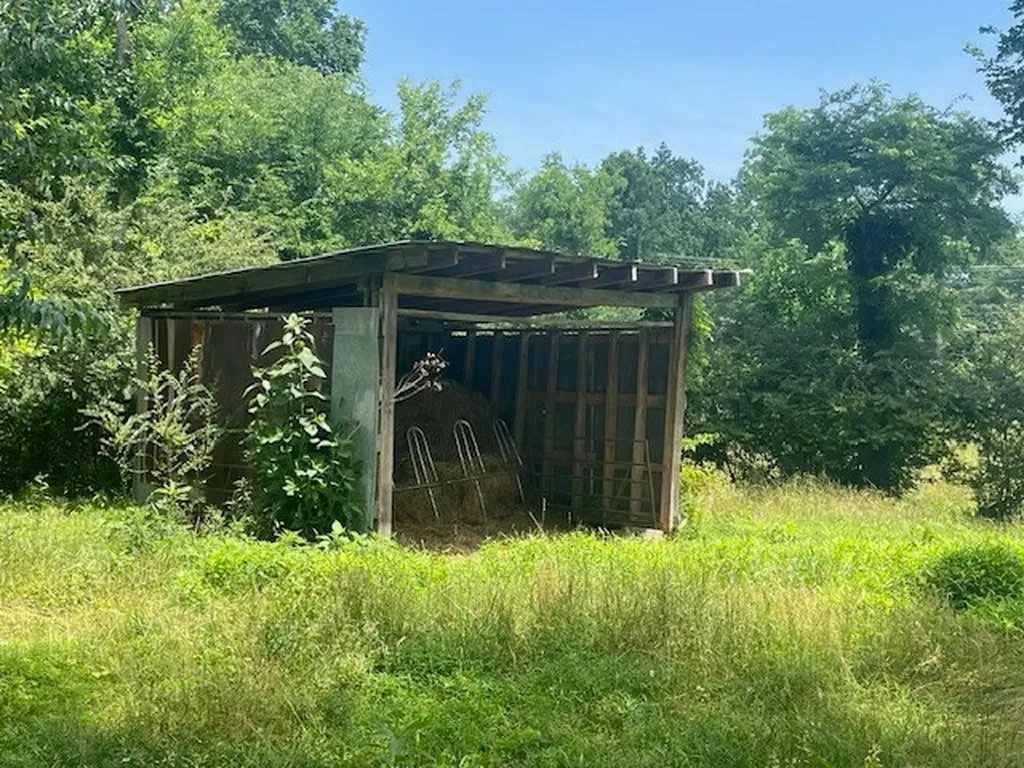 713 Lewis Avenue Shelbyville TN 37160