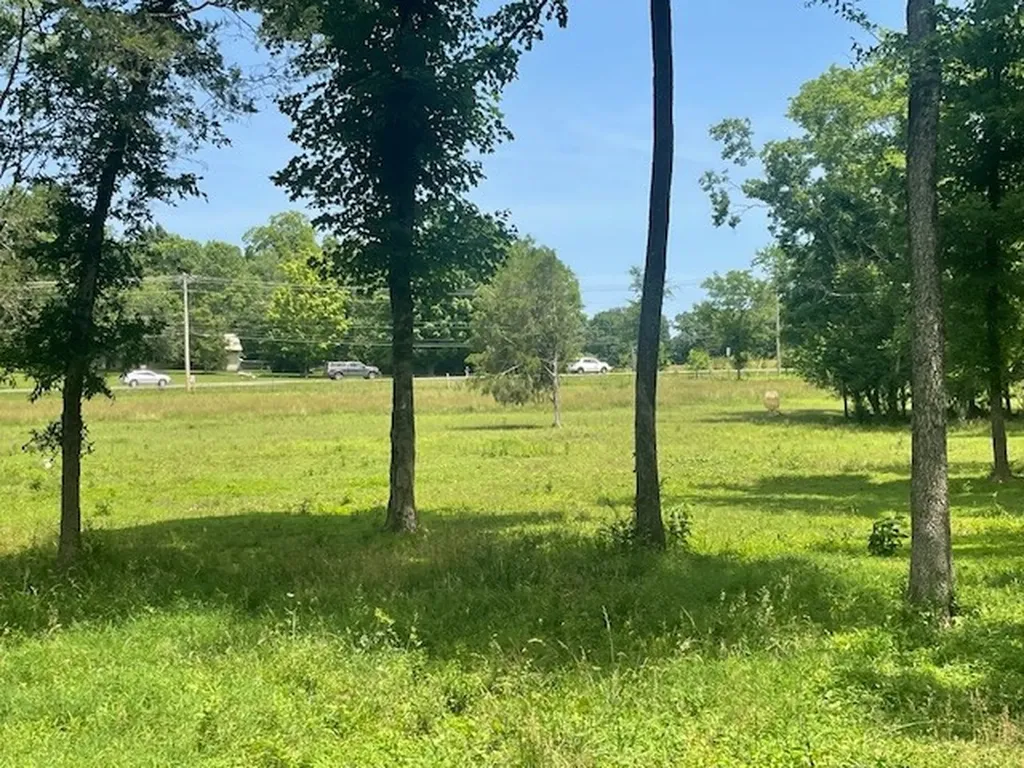 713 Lewis Avenue Shelbyville TN 37160