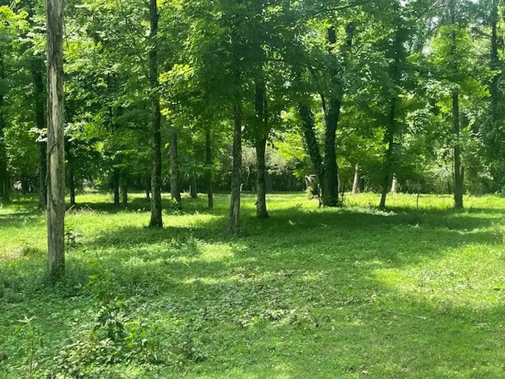 713 Lewis Avenue Shelbyville TN 37160