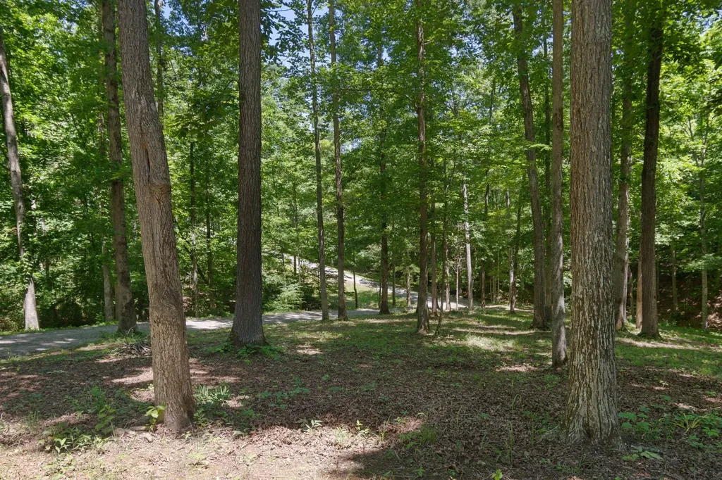 7855 Barnhill Road Primm Springs TN 38476