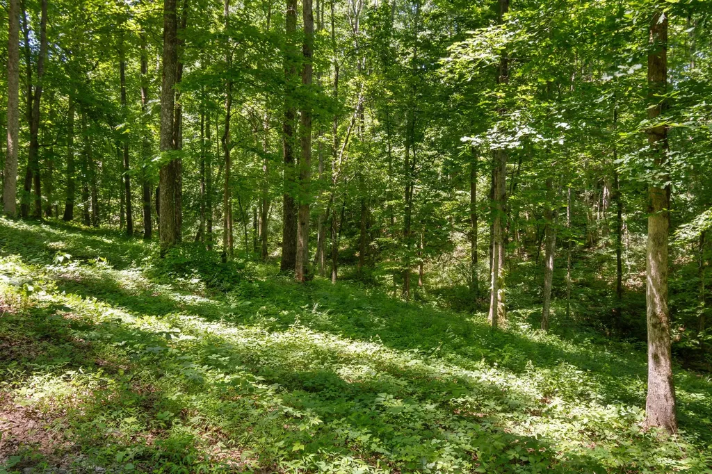 7855 Barnhill Road Primm Springs TN 38476