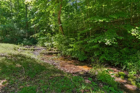 7855 Barnhill Road Primm Springs TN 38476