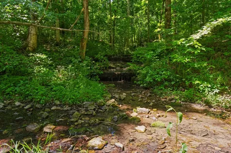 7855 Barnhill Road Primm Springs TN 38476