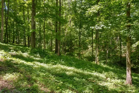 7855 Barnhill Road Primm Springs TN 38476