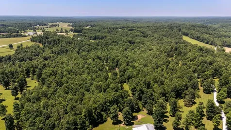 7855 Barnhill Road Primm Springs TN 38476