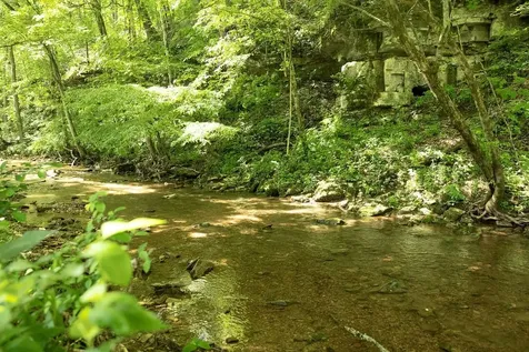 5570 Chambers Road Cumberland Furnace TN 37051