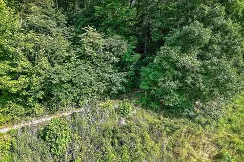 0 Moore Cove Road Quebeck TN 38579