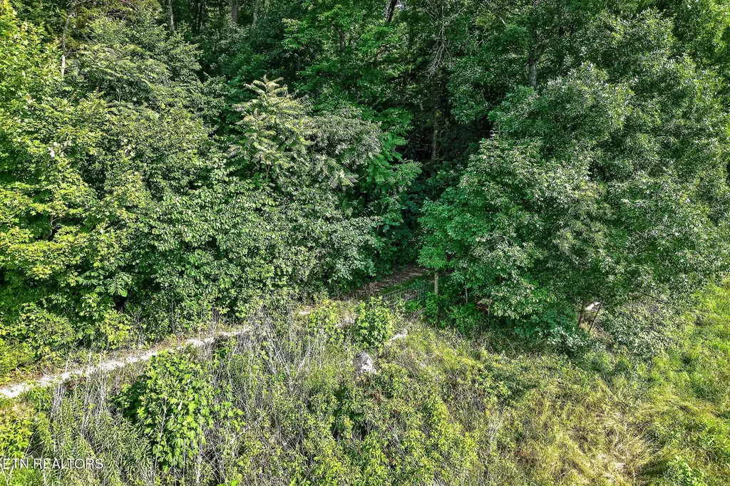 0 Moore Cove Road Quebeck TN 38579
