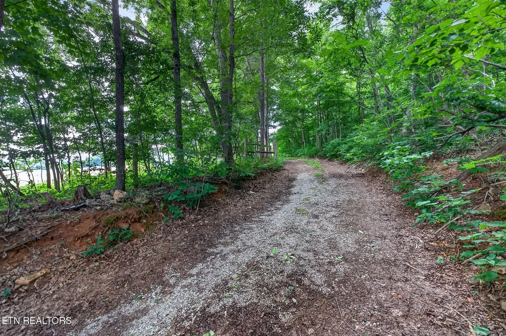 0 Moore Cove Road Quebeck TN 38579