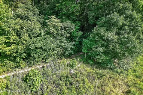 0 Moore Cove Road Quebeck TN 38579
