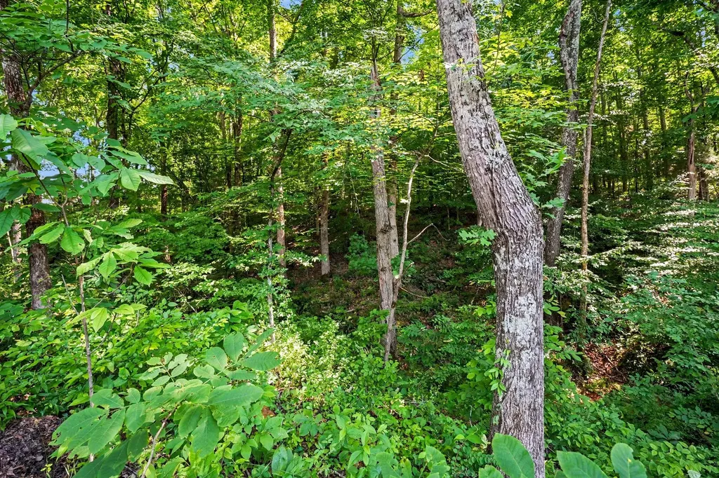 1222 Rooster Ridge Pleasant View TN 37146