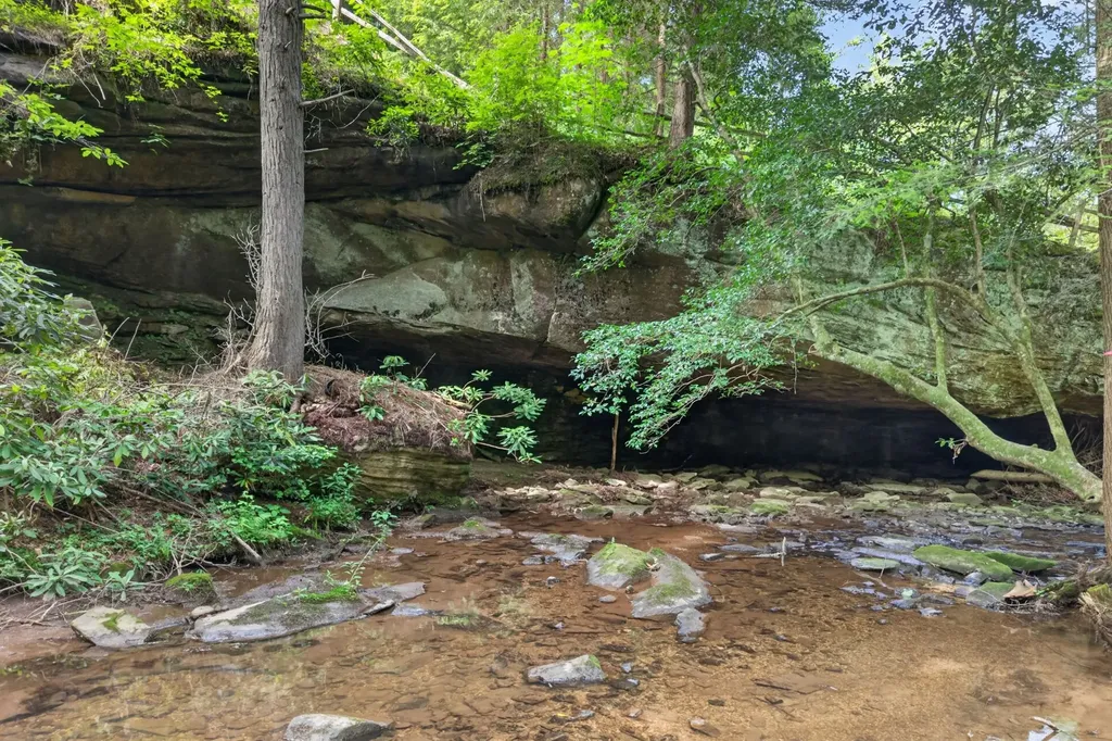 232 Victoria Circle Jamestown TN 38556