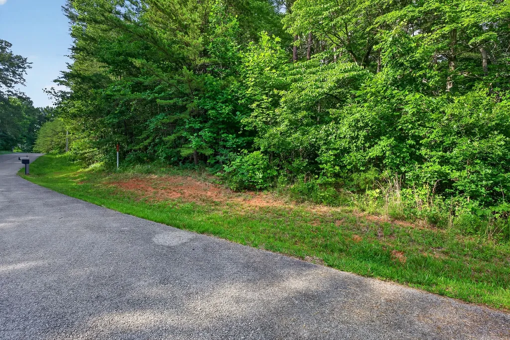 0 Simmons Cem Road Quebeck TN 38579