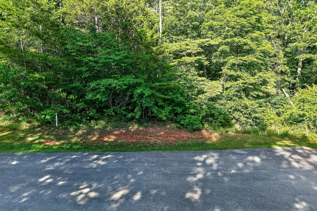 0 Simmons Cem Road Quebeck TN 38579