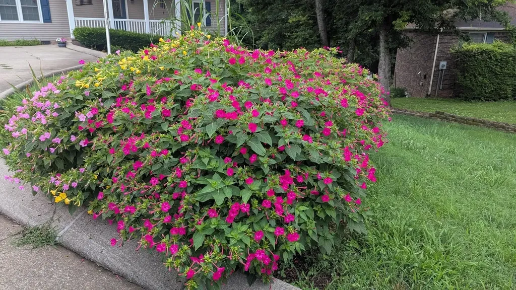 109 Eiger Court Columbia TN 38401