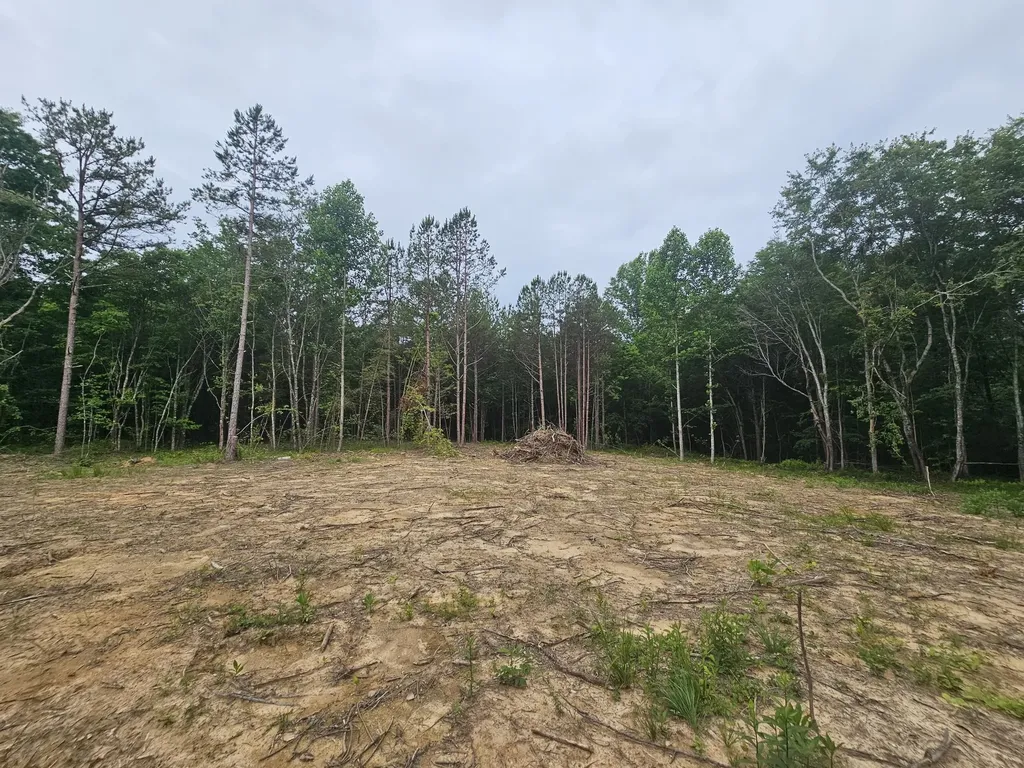 229 Windstone Drive Tracy City TN 37387