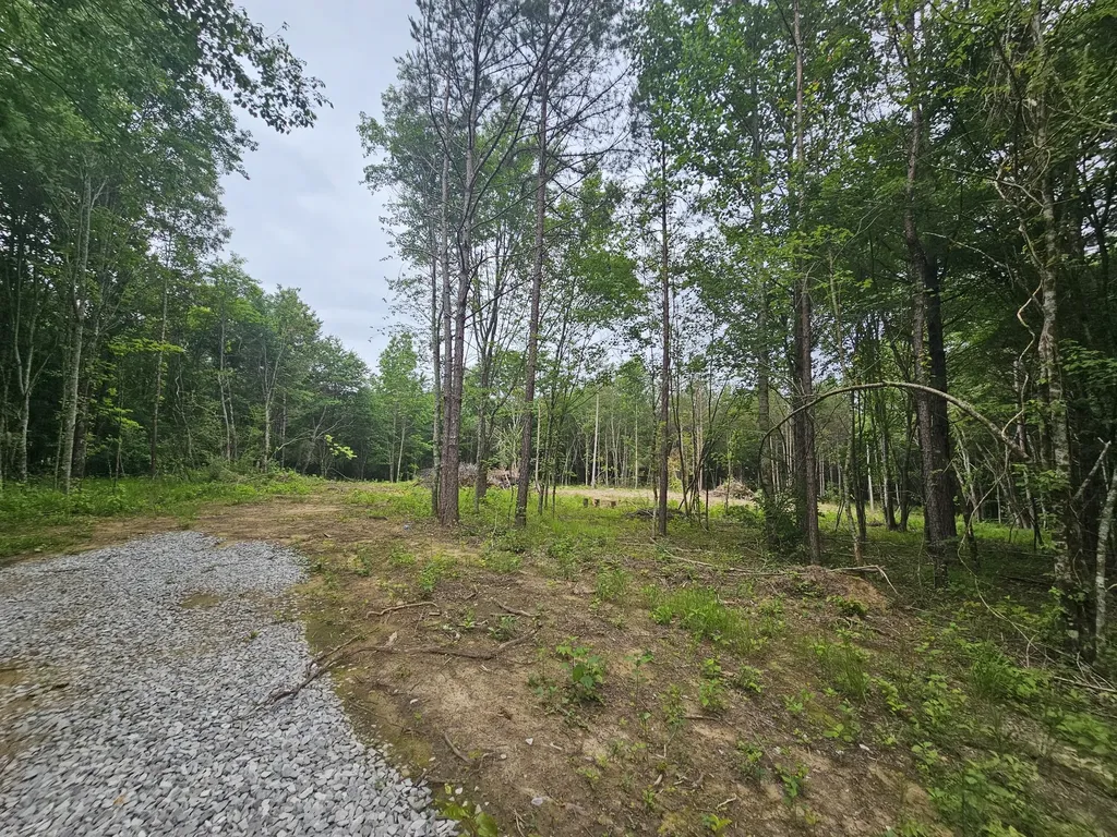 229 Windstone Drive Tracy City TN 37387