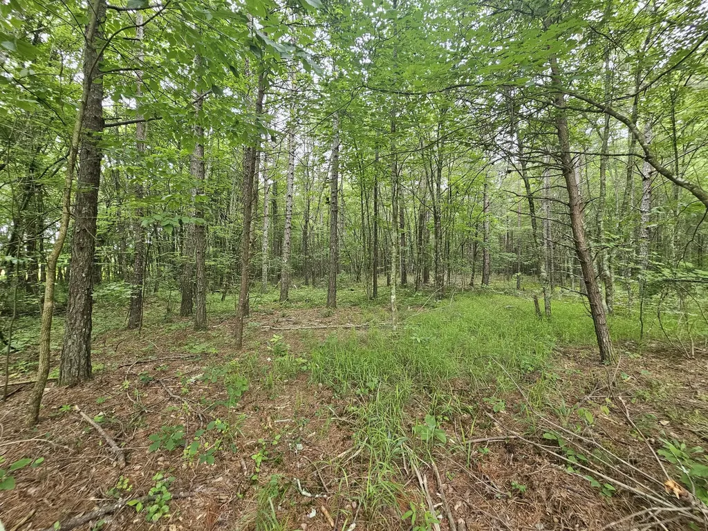 229 Windstone Drive Tracy City TN 37387