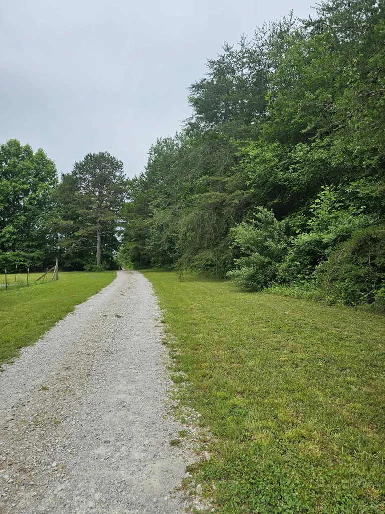 229 Windstone Drive Tracy City TN 37387