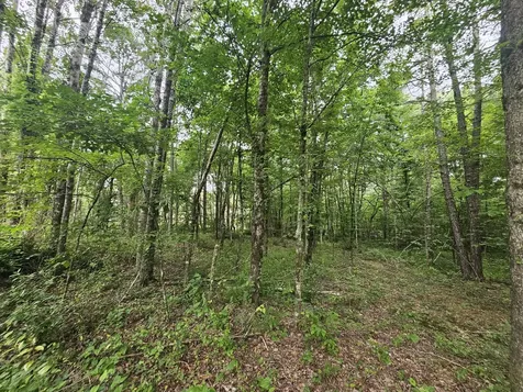 229 Windstone Drive Tracy City TN 37387