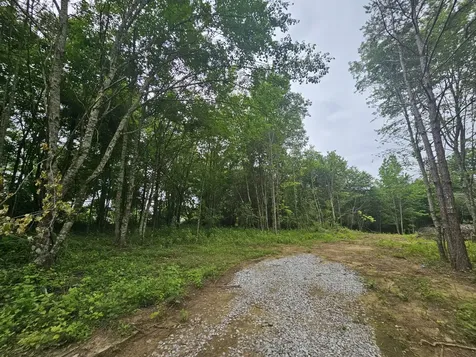 229 Windstone Drive Tracy City TN 37387