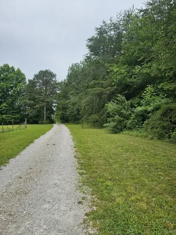 229 Windstone Drive Tracy City TN 37387