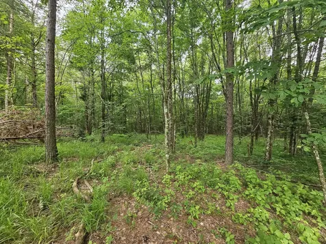 229 Windstone Drive Tracy City TN 37387