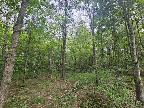 229 Windstone Drive Tracy City TN 37387