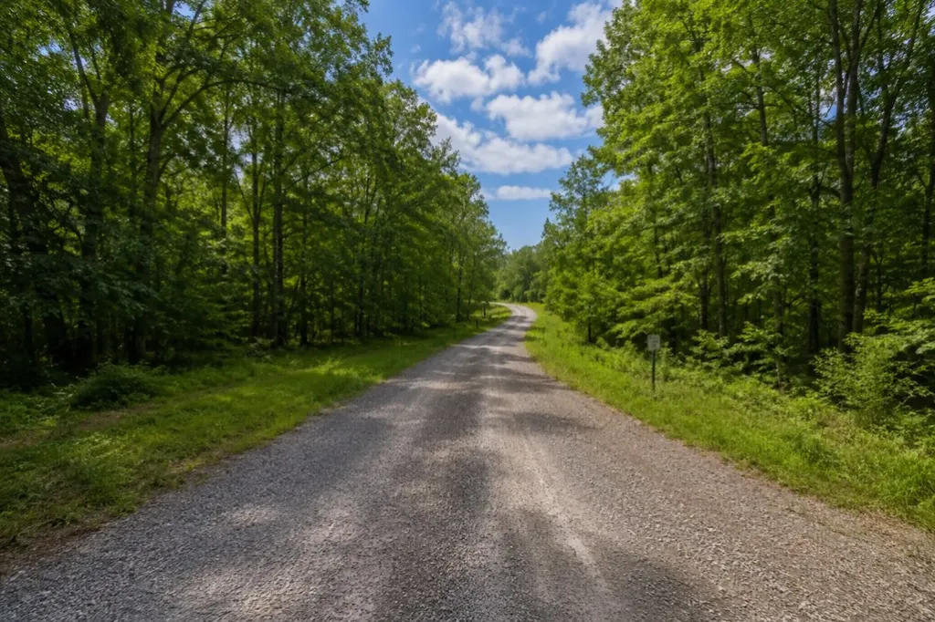 219 Snap Bean Lane Cedar Grove TN 38321