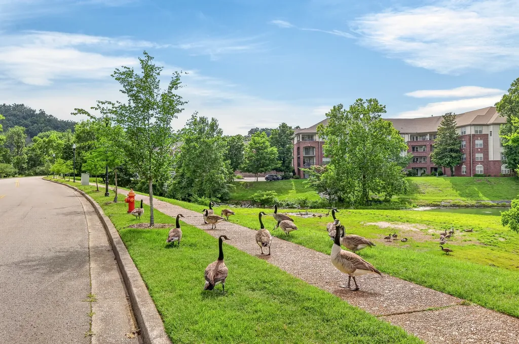 608 Arkland Place Nashville TN 37215