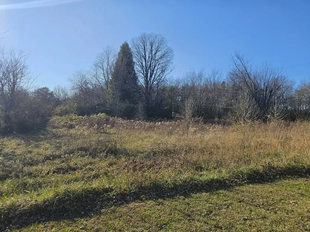 0 Yates Road Hillsboro TN 37342
