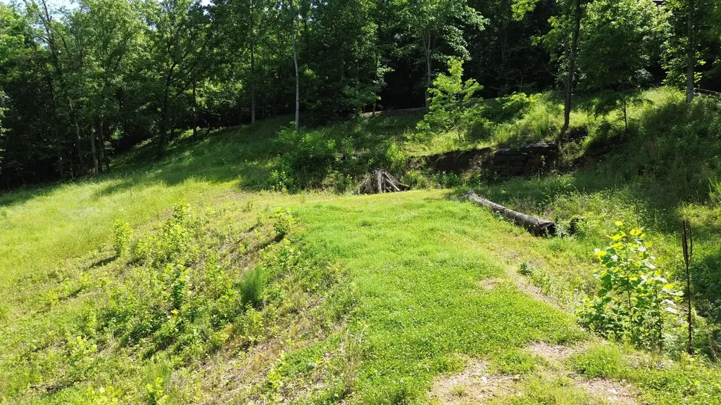 11 Bay Drive Lancaster TN 38569