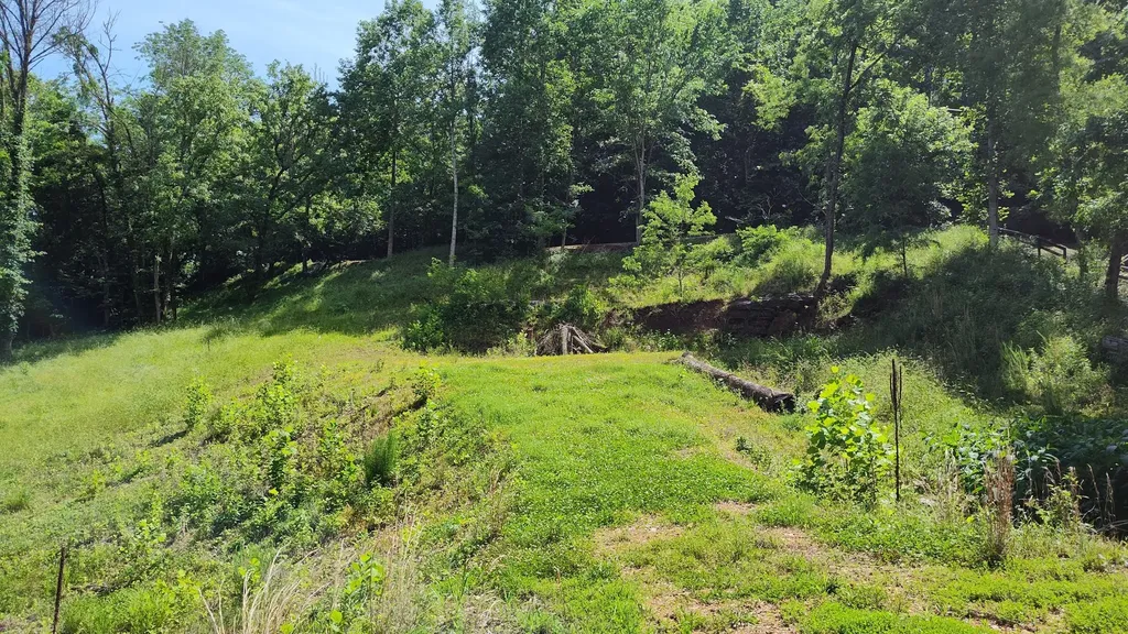 11 Bay Drive Lancaster TN 38569