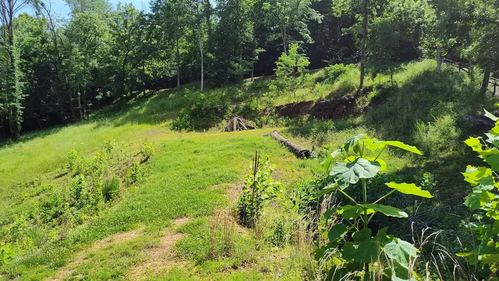 11 Bay Drive Lancaster TN 38569